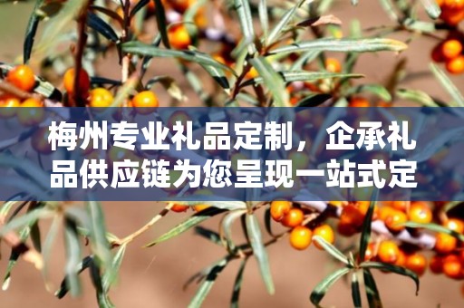 梅州专业礼品定制，企承礼品供应链为您呈现一站式定制服务
