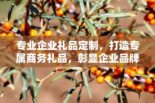专业企业礼品定制，打造专属商务礼品，彰显企业品牌魅力