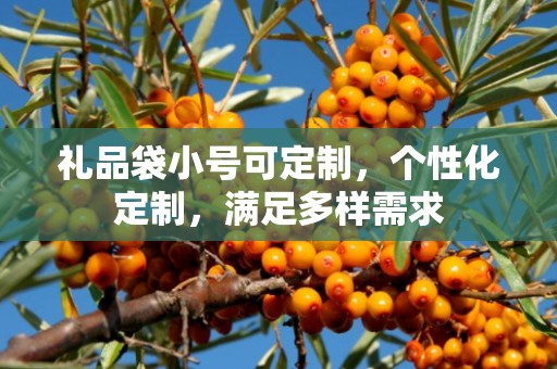 礼品袋小号可定制，个性化定制，满足多样需求