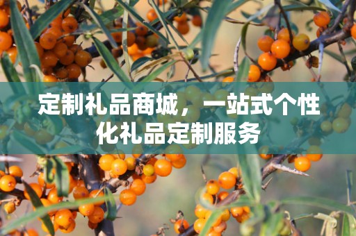 定制礼品商城，一站式个性化礼品定制服务
